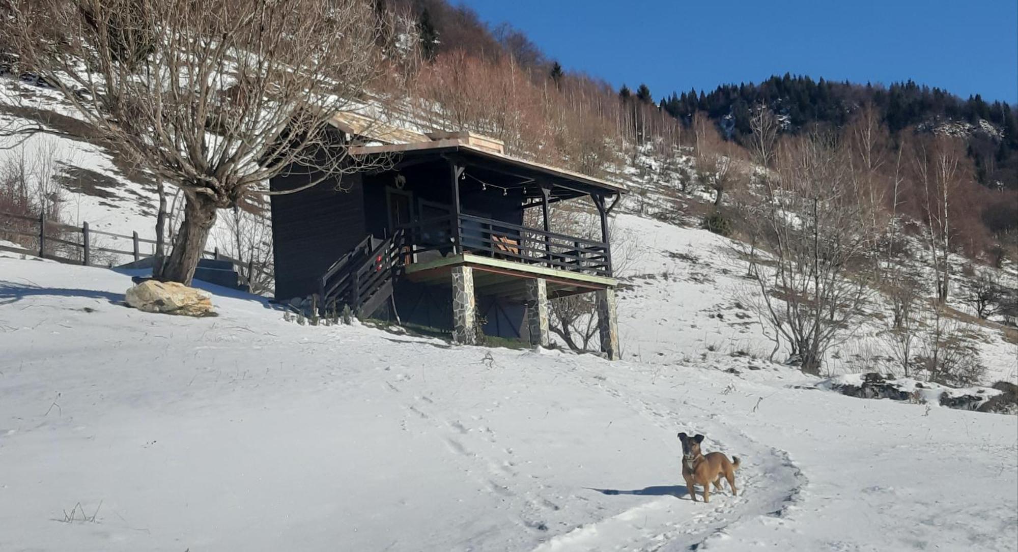 Вилла Magura Rustic Tiny House Экстерьер фото